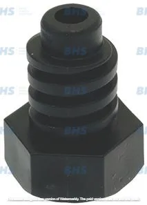 ADJUSTABLE FOOT
