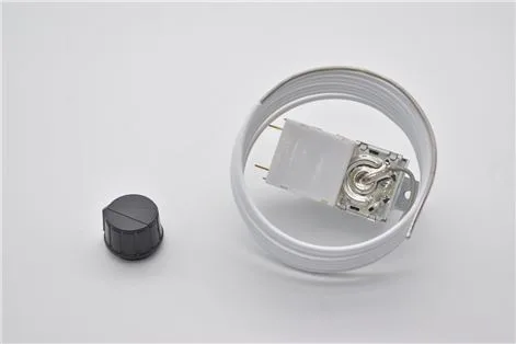 BIN THERMOSTAT