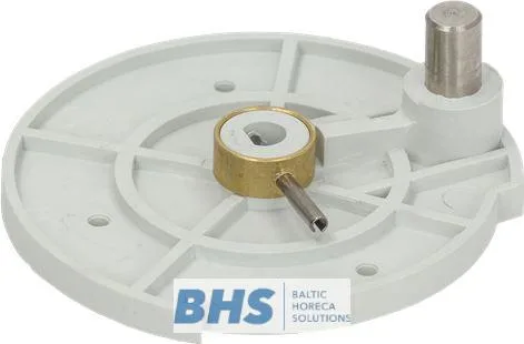 DISC FOR PIVOTING MOTOR