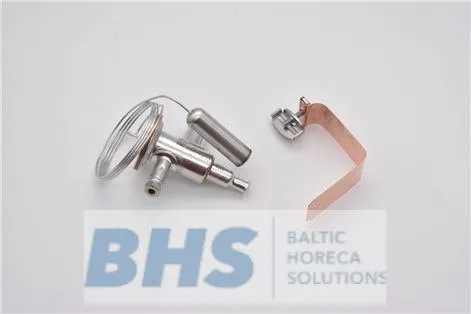 EXPANSION VALVE 0,68 404