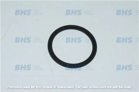 OR GASKET DELONGHI 5313238581