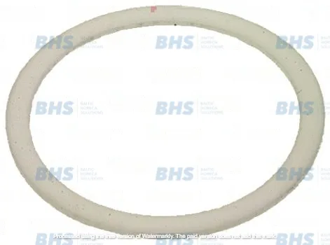 PTFE FLAT GASKET ø 58x43x2 mm