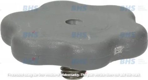 RINSE ARM ASSEMBLY LOCKING BOLT